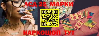 мяу мяу мука Малгобек