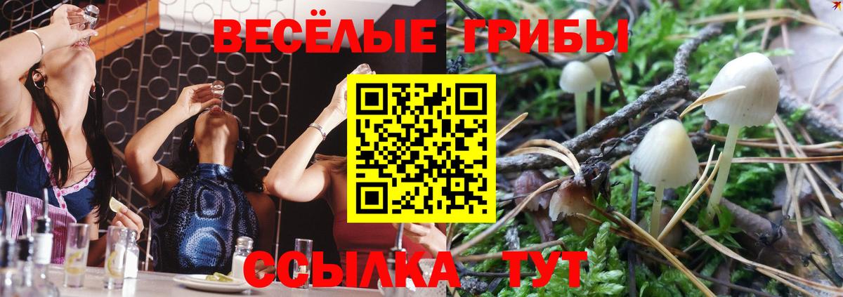 Жуковский  Галлюциногенные грибы GOLDEN TEACHER  Вход с VPN 