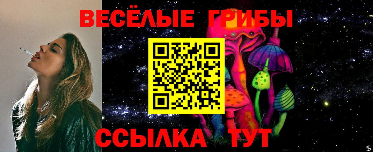 Псилоцибиновые грибы Magic Shrooms Жуковский